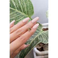 2.92 Ct. Zircon from Ceylon (Sri Lanka) Life Style