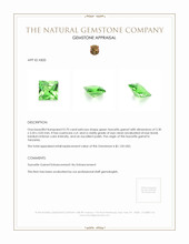 Jewelry Appraisal