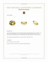 4.87 Ct. Yellow Zircon from Ceylon (Sri Lanka) Appraisal