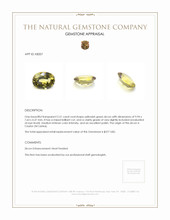 2.51 Ct. Zircon from Ceylon (Sri Lanka) Appraisal