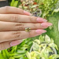 2.51 Ct. Zircon from Ceylon (Sri Lanka) Life Style