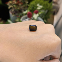 4.05 Ct. Tourmaline from Ceylon (Sri Lanka) Life Style