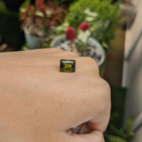 4.12 Ct. Tourmaline from Ceylon (Sri Lanka) Life Style
