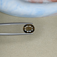 4.31 Ct. Tourmaline from Ceylon (Sri Lanka) Life Style