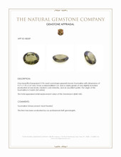 2.94 Ct. Greenish Brown Tourmaline from Ceylon (Sri Lanka) Appraisal