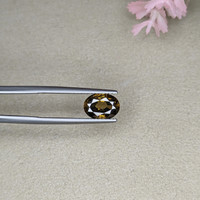 3.12 Ct. Tourmaline from Ceylon (Sri Lanka) Life Style