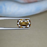 3.73 Ct. Tourmaline from Ceylon (Sri Lanka) Life Style