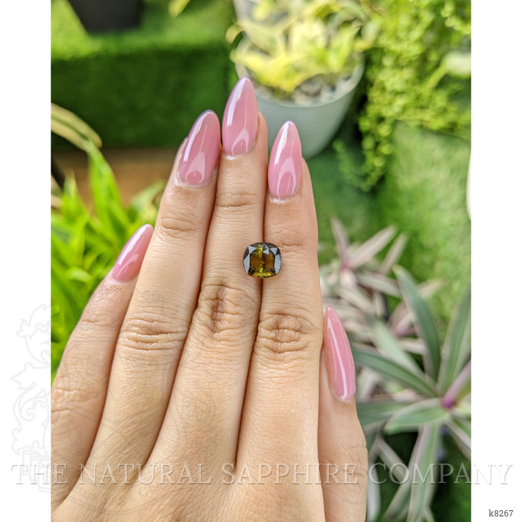 2.76 Ct. Tourmaline from Ceylon (Sri Lanka)