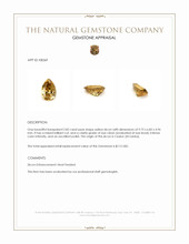 2.82 Ct. Yellow Zircon from Ceylon (Sri Lanka) Appraisal