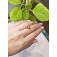 2.82 Ct. Zircon from Ceylon (Sri Lanka) Life Style