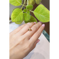 2.82 Ct. Zircon from Ceylon (Sri Lanka) Life Style