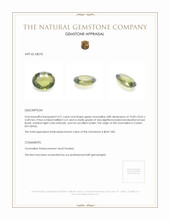 4.21 Ct. Tourmaline from Ceylon (Sri Lanka) Appraisal