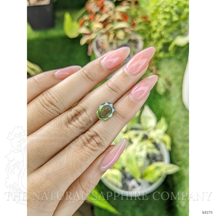 4.21 Ct. Tourmaline from Ceylon (Sri Lanka)