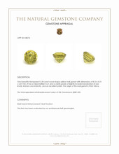 3.28 Ct. Mali Garnet from West Africa Appraisal