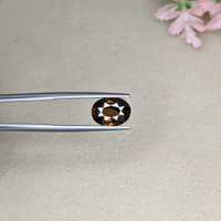 4.90 Ct. Tourmaline from Ceylon (Sri Lanka) Life Style