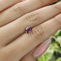 0.84 Ct. Rhodolite Garnet from Ceylon (Sri Lanka) Life Style