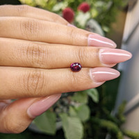 1.04 Ct. Rhodolite Garnet from Ceylon (Sri Lanka) Life Style