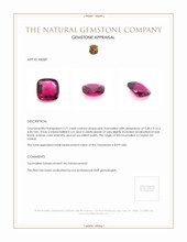 2.71 Ct. Tourmaline from Ceylon (Sri Lanka) Appraisal
