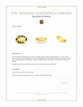 7.46 Ct. Citrine from Ceylon (Sri Lanka) Appraisal