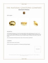 7.65 Ct. Citrine from Ceylon (Sri Lanka) Appraisal