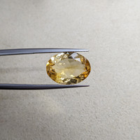 6.31 Ct. Citrine from Ceylon (Sri Lanka) Life Style