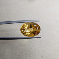 7.88 Ct. Citrine from Ceylon (Sri Lanka) Life Style