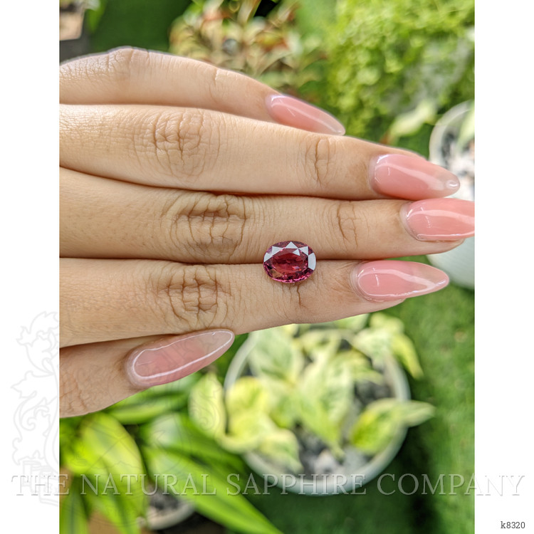 3.68 Ct. Rhodolite Garnet from Ceylon (Sri Lanka)
