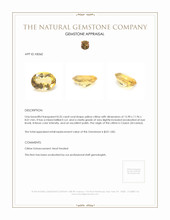 8.35 Ct. Citrine from Ceylon (Sri Lanka) Appraisal