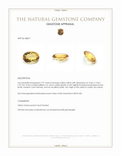7.97 Ct. Citrine from Ceylon (Sri Lanka) Appraisal