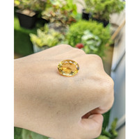 7.97 Ct. Citrine from Ceylon (Sri Lanka) Life Style