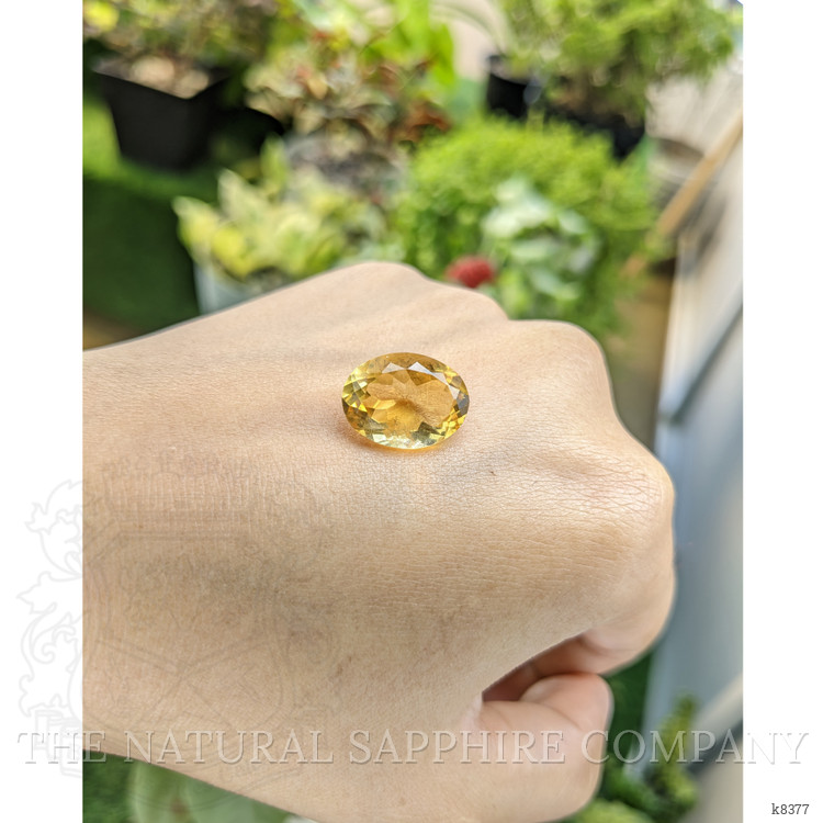 7.97 Ct. Citrine from Ceylon (Sri Lanka)