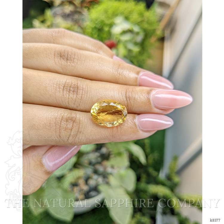 7.97 Ct. Citrine from Ceylon (Sri Lanka)