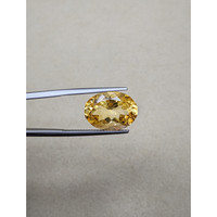 8.45 Ct. Citrine from Ceylon (Sri Lanka) Life Style