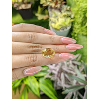 8.45 Ct. Citrine from Ceylon (Sri Lanka) Life Style