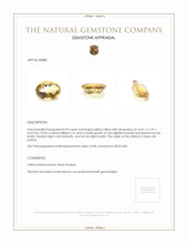 8.99 Ct. Citrine from Ceylon (Sri Lanka) Appraisal