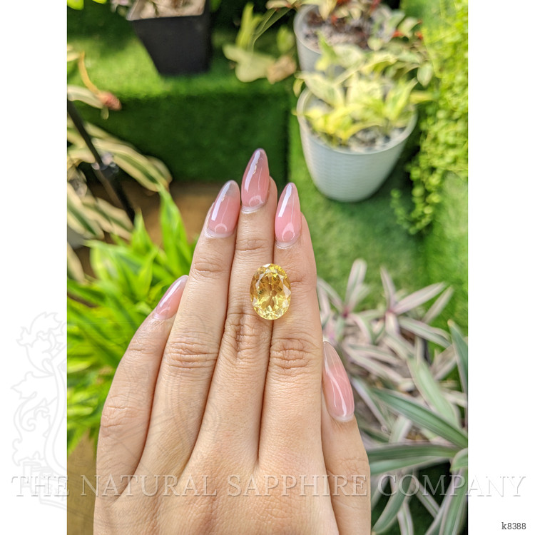 9.44 Ct. Citrine from Ceylon (Sri Lanka)