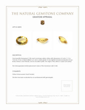 7.08 Ct. Citrine from Ceylon (Sri Lanka) Appraisal