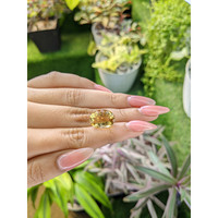8.89 Ct. Citrine from Bolivia Life Style