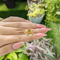 8.15 Ct. Citrine from Ceylon (Sri Lanka) Life Style