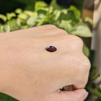 1.01 Ct. Garnet from Ceylon (Sri Lanka) Life Style
