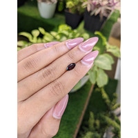 1.11 Ct. Garnet from Ceylon (Sri Lanka) Life Style