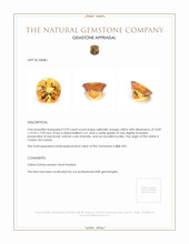 3.99 Ct. Citrine from Ceylon (Sri Lanka) Appraisal
