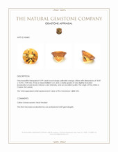 3.99 Ct. Citrine from Ceylon (Sri Lanka) Appraisal
