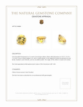 4.14 Ct. Citrine from Ceylon (Sri Lanka) Appraisal