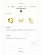 3.96 Ct. Citrine from Ceylon (Sri Lanka) Appraisal