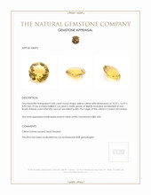 3.86 Ct. Citrine from Ceylon (Sri Lanka) Appraisal