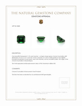 Jewelry Appraisal
