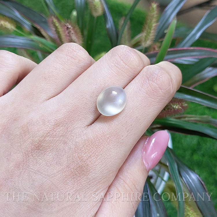 7.57 Ct. Cabochon Moonstone from Ceylon (Sri Lanka)