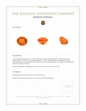 6.15 Ct. Spessartite Garnet from Ceylon (Sri Lanka) Appraisal