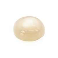 3.64 Ct. Cabochon Moonstone from Ceylon (Sri Lanka) Video